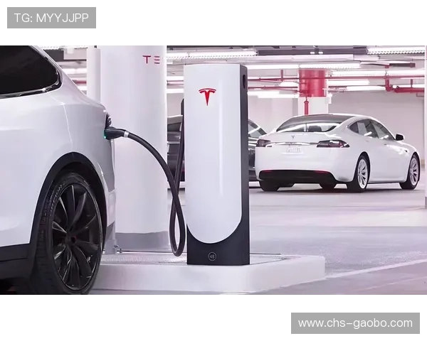 欧博abg888：全面解析其游戏种类与用户体验提升策略